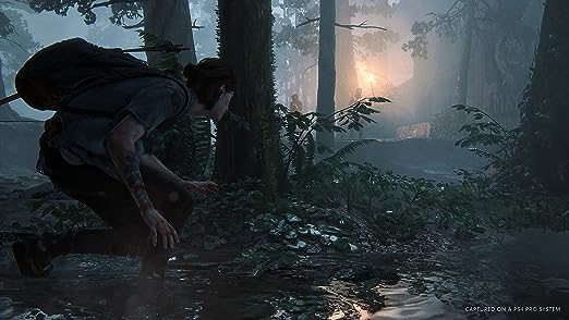 THE LAST OF US PART II / PS4