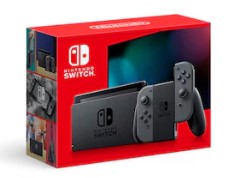 Nintendo Neon Gris